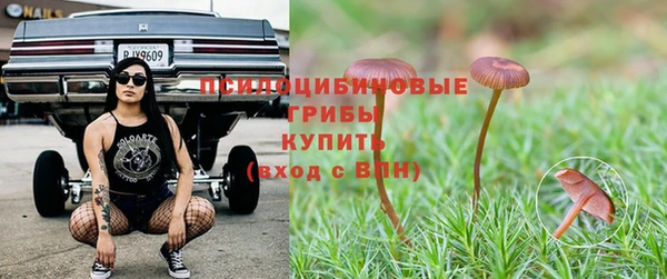 первитин Надым
