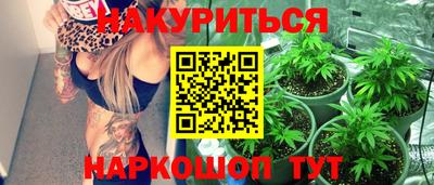 стаф Донецк