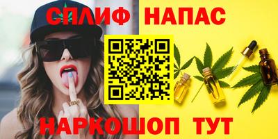 стаф Донецк