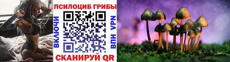 цены наркотик  hydra вход  Псилоцибиновые грибы ЛСД  Конаково 