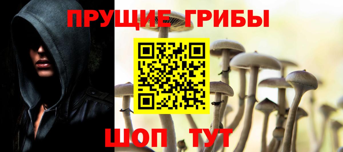 Галлюциногенные грибы Cubensis Конаково